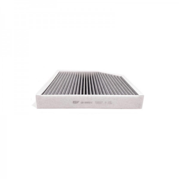 BIG FILTER GB-9999-C